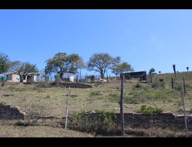 226HA FARM FOR SALE IN KOMGA RURAL
